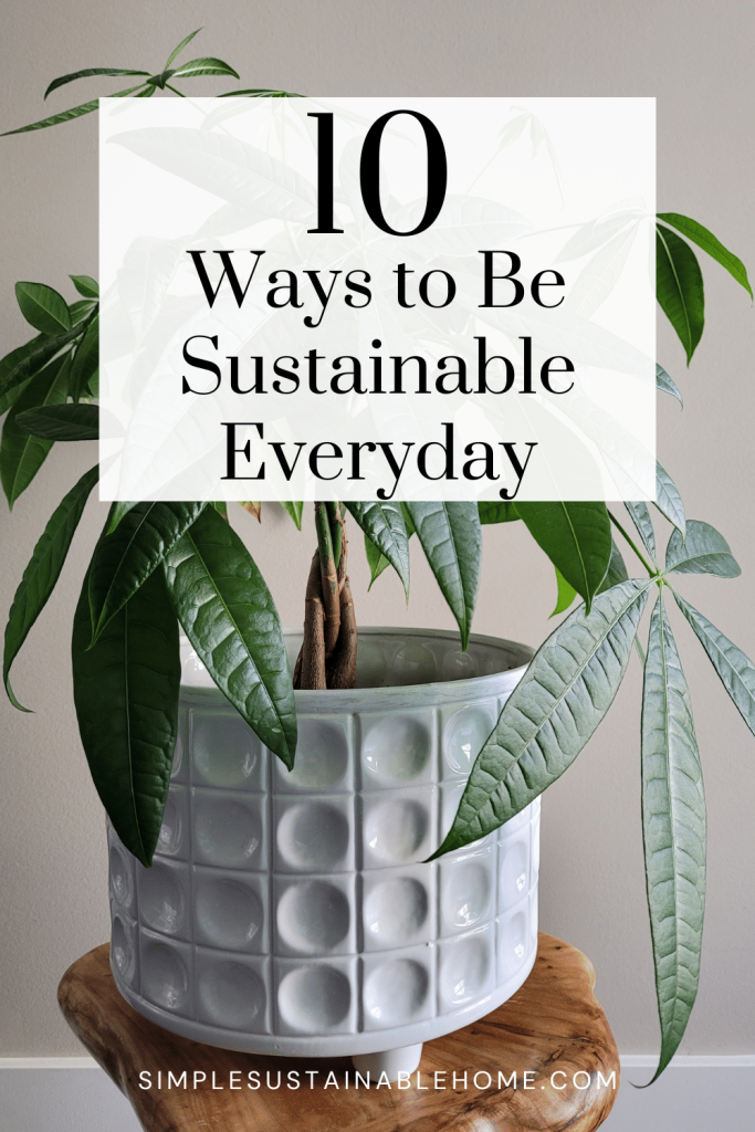 pin for 10 ways to be sustainable in everyday life.
