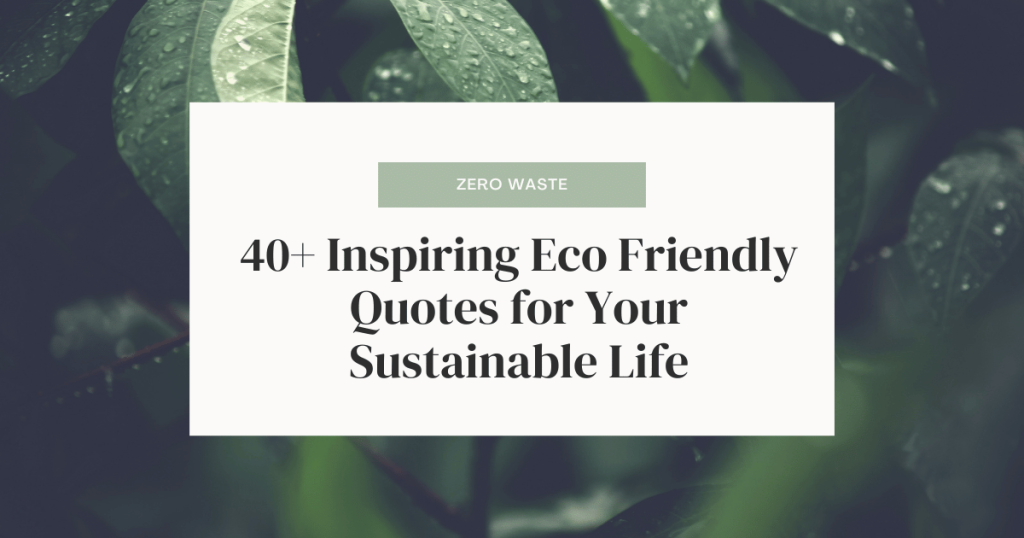 blog post graphic for best eco-friendly quotes.