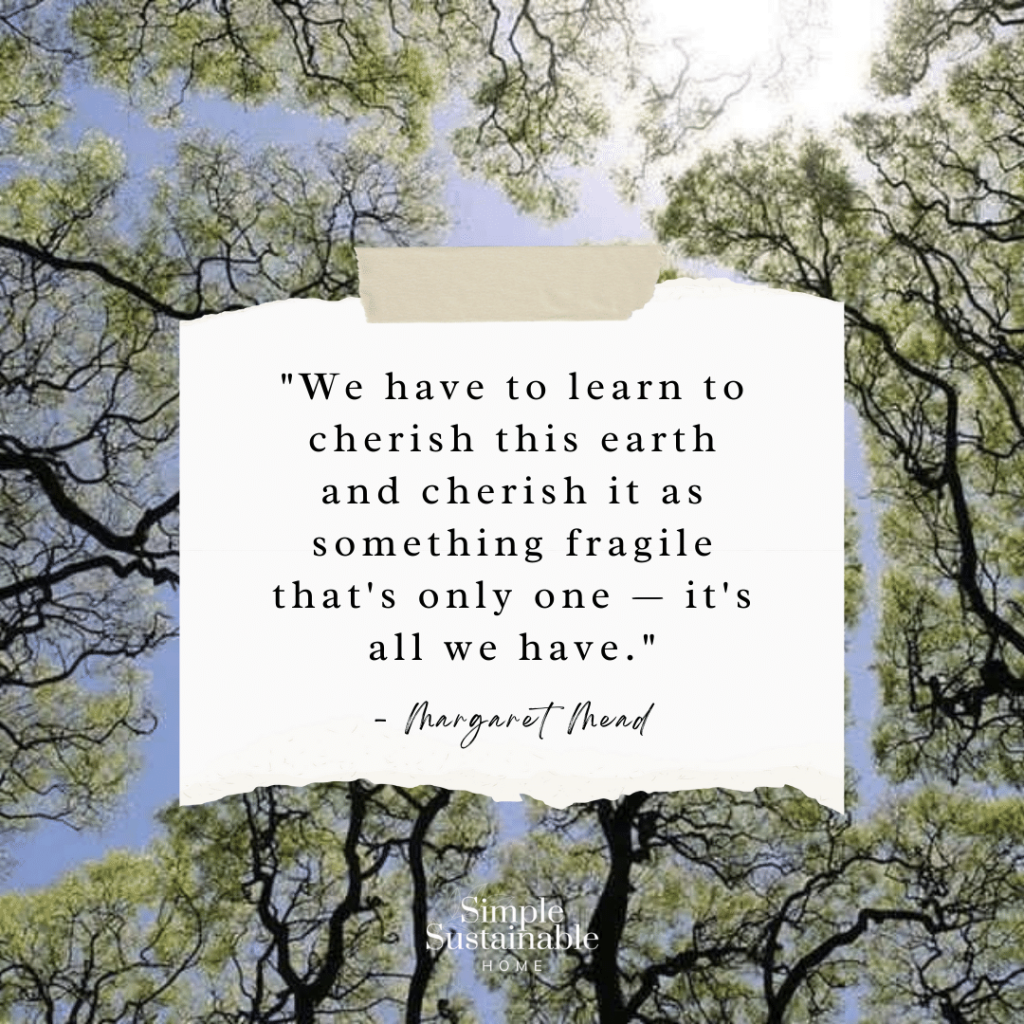we have to learn to cherish this earth and cherish it as something fragile margaret mead quote about eco friendly living.